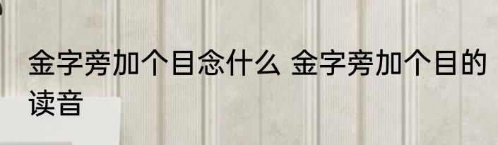 金字旁加个目念什么 金字旁加个目的读音