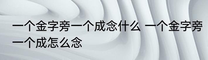 一个金字旁一个成念什么 一个金字旁一个成怎么念