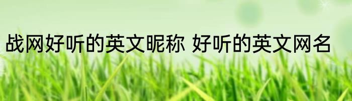 战网好听的英文昵称 好听的英文网名