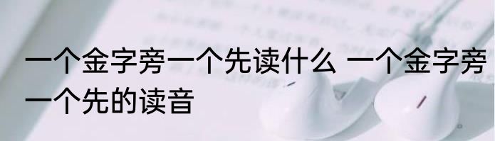 一个金字旁一个先读什么 一个金字旁一个先的读音