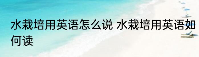 水栽培用英语怎么说 水栽培用英语如何读