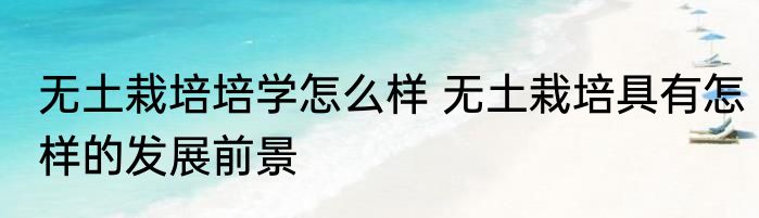 无土栽培培学怎么样 无土栽培具有怎样的发展前景