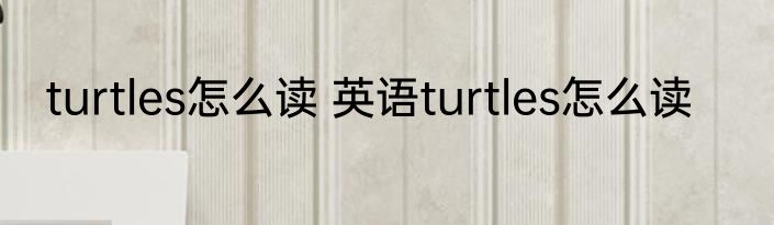 turtles怎么读 英语turtles怎么读