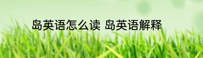 岛英语怎么读 岛英语解释