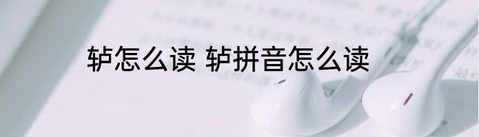 轳怎么读 轳拼音怎么读