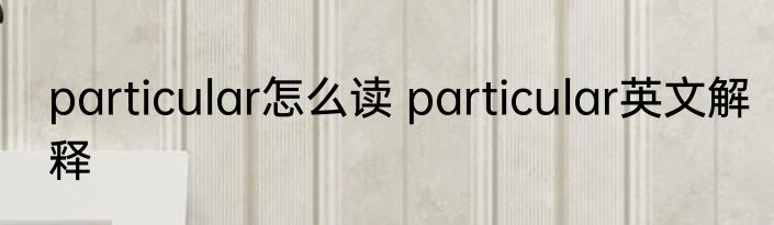 particular怎么读 particular英文解释