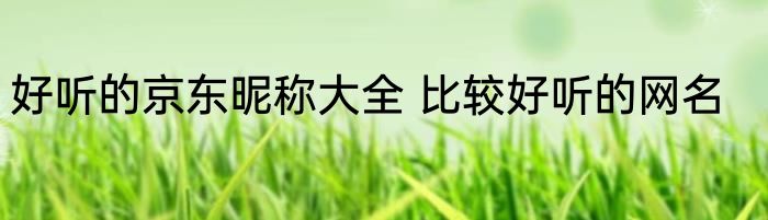 好听的京东昵称大全 比较好听的网名