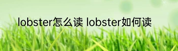 lobster怎么读 lobster如何读