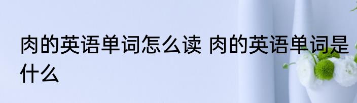 肉的英语单词怎么读 肉的英语单词是什么