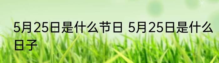 5月25日是什么节日 5月25日是什么日子