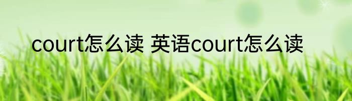 court怎么读 英语court怎么读