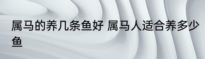 属马的养几条鱼好 属马人适合养多少鱼