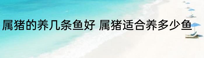 属猪的养几条鱼好 属猪适合养多少鱼