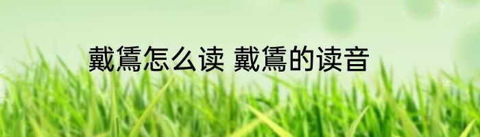 戴鵀怎么读 戴鵀的读音