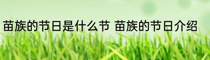 苗族的节日是什么节 苗族的节日介绍