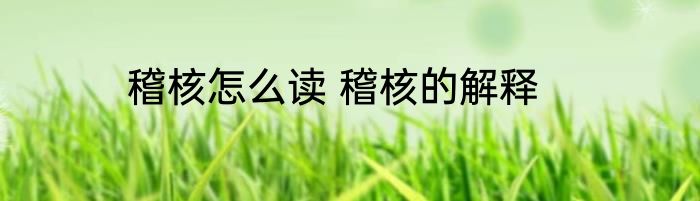 稽核怎么读 稽核的解释