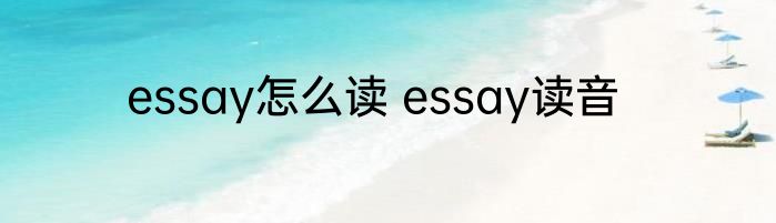 essay怎么读 essay读音