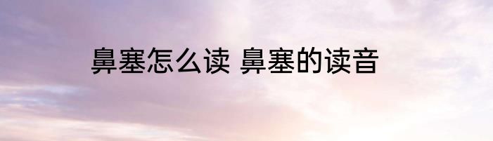 鼻塞怎么读 鼻塞的读音