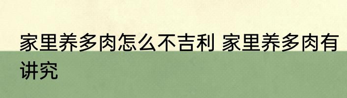 家里养多肉怎么不吉利 家里养多肉有讲究