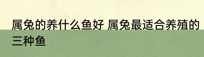 属兔的养什么鱼好 属兔最适合养殖的三种鱼