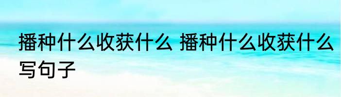 播种什么收获什么 播种什么收获什么写句子