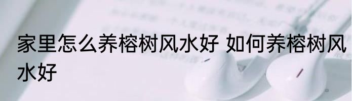 家里怎么养榕树风水好 如何养榕树风水好