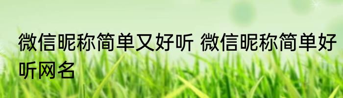 微信昵称简单又好听 微信昵称简单好听网名