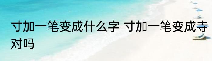 寸加一笔变成什么字 寸加一笔变成寺对吗