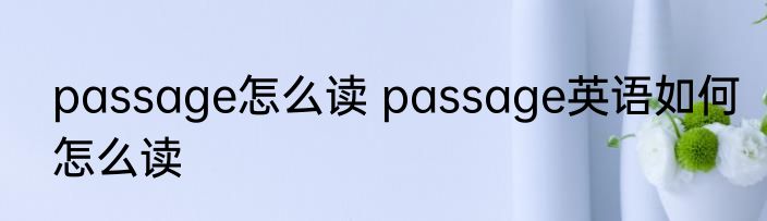 passage怎么读 passage英语如何怎么读