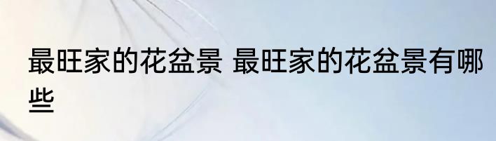 最旺家的花盆景 最旺家的花盆景有哪些