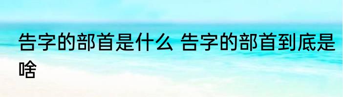 告字的部首是什么 告字的部首到底是啥