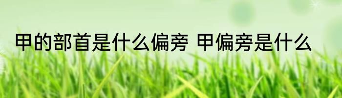 甲的部首是什么偏旁 甲偏旁是什么