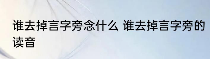 谁去掉言字旁念什么 谁去掉言字旁的读音