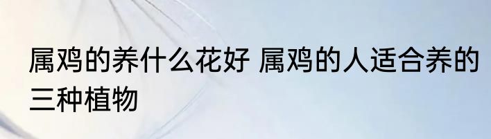 属鸡的养什么花好 属鸡的人适合养的三种植物