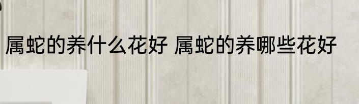属蛇的养什么花好 属蛇的养哪些花好