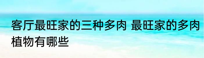 客厅最旺家的三种多肉 最旺家的多肉植物有哪些