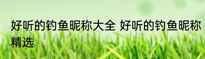 好听的钓鱼昵称大全 好听的钓鱼昵称精选