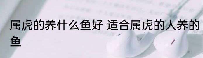 属虎的养什么鱼好 适合属虎的人养的鱼