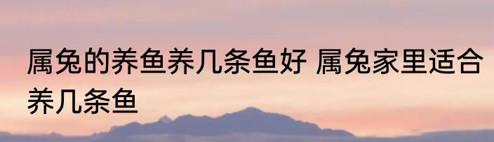 属兔的养鱼养几条鱼好 属兔家里适合养几条鱼