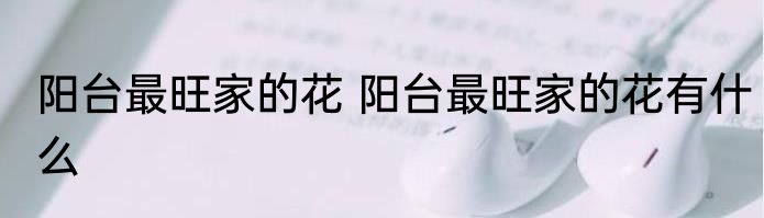 阳台最旺家的花 阳台最旺家的花有什么