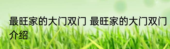 最旺家的大门双门 最旺家的大门双门介绍