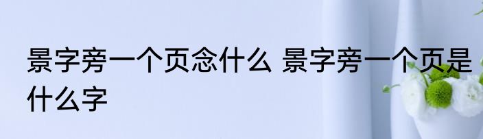 景字旁一个页念什么 景字旁一个页是什么字