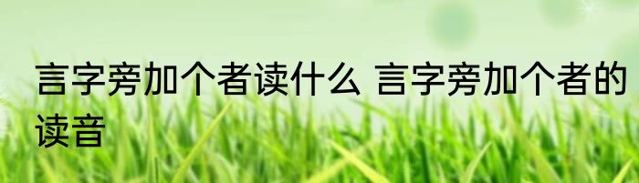 言字旁加个者读什么 言字旁加个者的读音