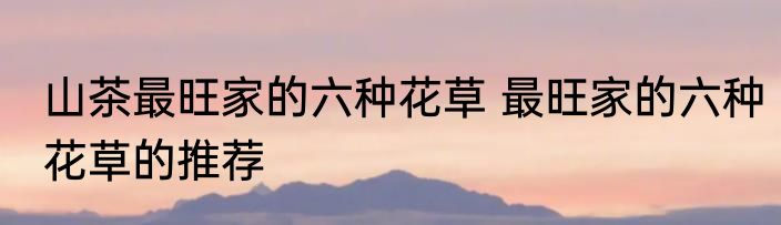 山茶最旺家的六种花草 最旺家的六种花草的推荐