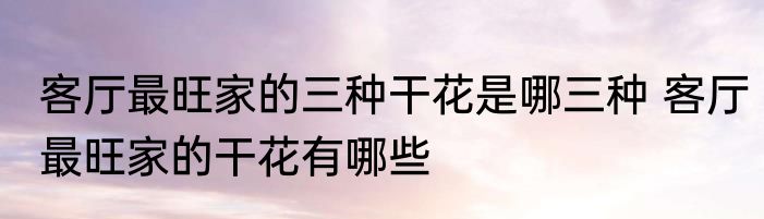 客厅最旺家的三种干花是哪三种 客厅最旺家的干花有哪些