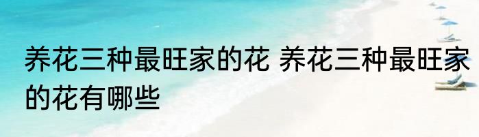 养花三种最旺家的花 养花三种最旺家的花有哪些