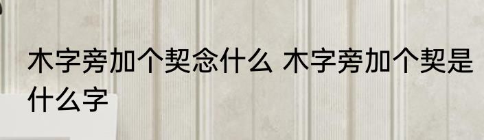 木字旁加个契念什么 木字旁加个契是什么字
