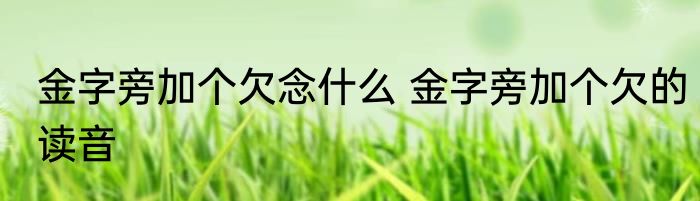 金字旁加个欠念什么 金字旁加个欠的读音