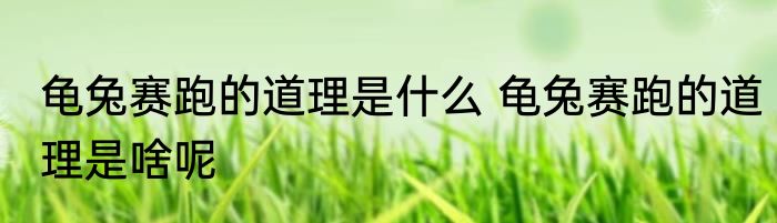 龟兔赛跑的道理是什么 龟兔赛跑的道理是啥呢