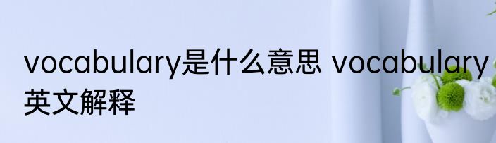 vocabulary是什么意思 vocabulary英文解释